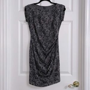 Ann Taylor Gray Snakeskin Print Dress Size 2P